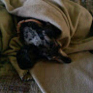 Meet your Posher, Jeanette